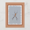 Search for weavers postcards Insect