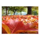 Recherche de 20x25 posters Pour tous