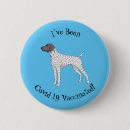 Search for shorthair buttons Pet