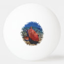 Recherche de poissons balles ping pong Mer