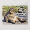 Recherche de posture posters Chat