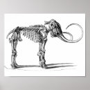 Recherche de mammouth art Préhistorique