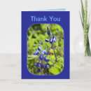 Search for state flower cards Texas