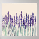 Search for aromatic posters Herb