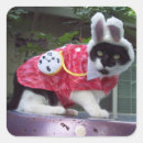 Recherche de le chat blanc autocollants Lapin