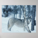 Search for wild side posters Standing