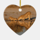 Search for lioness ornaments Predator
