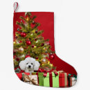 Recherche de caniche chaussette de noël Canicule
