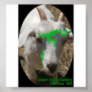 Search for features posters Green
