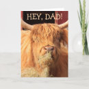 Search for highland cattle cards Farm