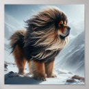 Recherche de mastiff posters Mastife tibétain