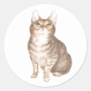 Search for brown tabby cat stickers Cute