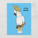 Search for crested postcards Cockatoo