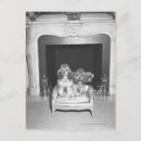 Recherche de salon de chien cartes postales Maison
