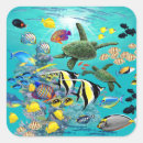 Search for hawaiian turtle stickers Summer