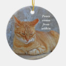 Search for tabby ornaments Pet