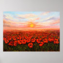 Recherche de papavers posters Nature