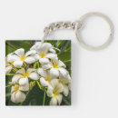 Search for ley keychains Island