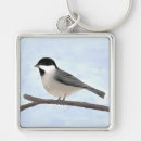 Search for chickadees keychains Black capped chickadee