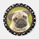 Search for pet pug magnets Pets