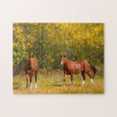Recherche de cheval amants puzzles Chevaux