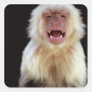 Search for throat stickers Nature