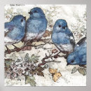 Search for vintage bird illustrations posters Cute