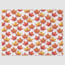 Search for fall maple leaves Canadian