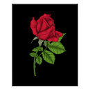 Recherche de rosa posters Floral