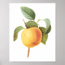 Recherche de nourriture biologique posters Botanique