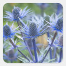 Search for sea plants stickers Flora