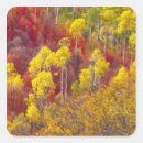 Search for logan stickers Utah