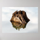 Recherche de châssis posters Nature