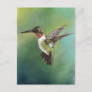 Search for ruby throated postcards Garden