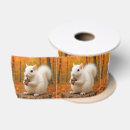 Search for squirrel ribbon Autumn