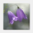 Recherche de cloches magnets Violet