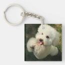 Search for poodle dog keychains Animal