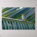 Search for throat posters Yellow