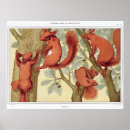 Recherche de animaux sauvages vintages posters Rétro