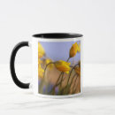 Recherche de jonquil mugs Narcisse