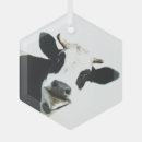 Search for black and white cow ornaments Farm