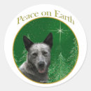 Search for cattle dog stickers Acd