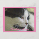 Search for black and white pink postcards Cute