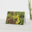 Recherche de thanksgiving cartes Feuille