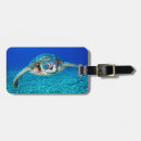 Recherche de créatures bagages étiquettes Tortue