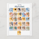 Search for birdwatcher vertical postcards Birdwatching