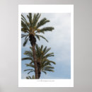 Recherche de palmtrees posters Nature