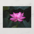 Search for flower leaf horizontal postcards Bouquet