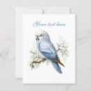 Recherche de jolis oiseaux cartes postales Mignon