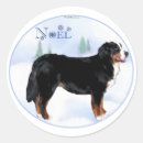 Search for bernese mountain stickers Animals